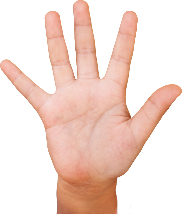 Children's hands